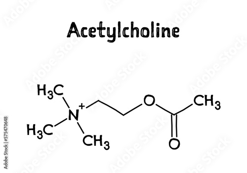 Acetylcholine molecular structure. Acetylcholine is neurotransmitter with important role in human body. .Vector structural formula of chemical compound. Black pen Hand-drawn style.