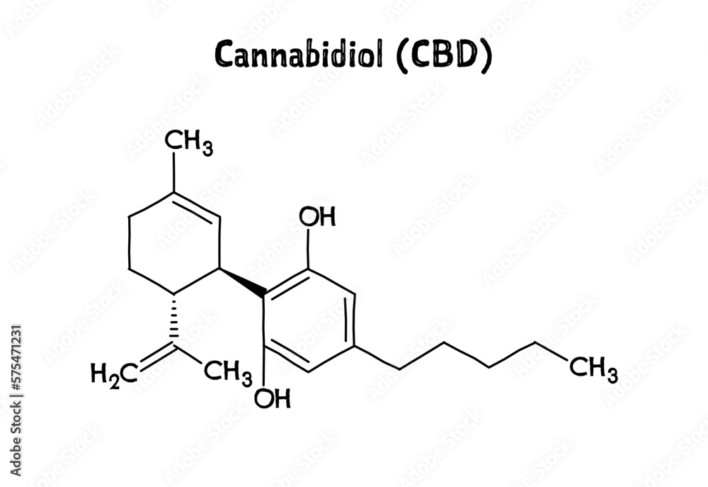 Cannabidiol, or CBD, molecular structure. Cannabidiol is a phytocannabinoid extracted from cannabis. .Vector structural formula of chemical compound. Black pen Hand-drawn style.