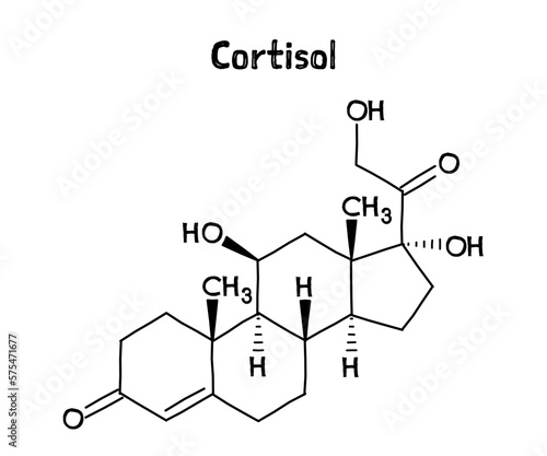 Cortisol molecular structure. Cortisol is a steroid hormone regulating stress response, metabolism, blood pressure, blood sugar and sleep-wake cycle. .Vector structural formula of chemical compound