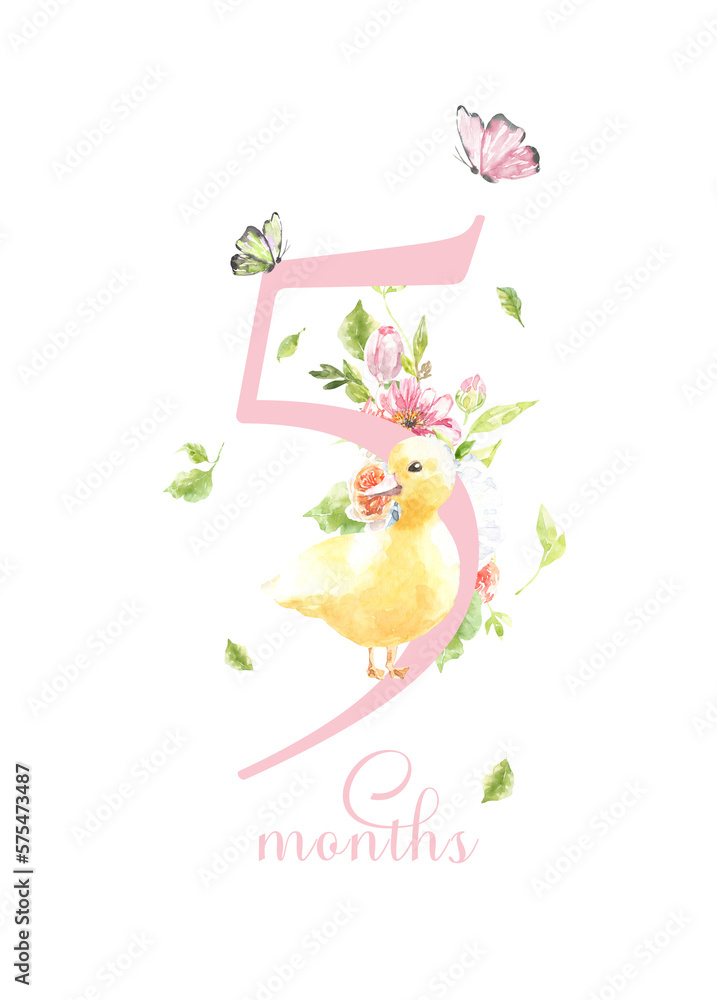 Baby milestone cards, watercolor cute bunny,duck, animals and numbers for newborn girl or boy. 1-11 months and 1 year. Baby shower nursery print. Baby month anniversary , birthday greeting card Baby milestone cards, watercolor cute bunny,duck, animals and numbers for newborn girl or boy. 1-11 months and 1 year. Baby shower nursery print. Baby month anniversary , birthday greeting card