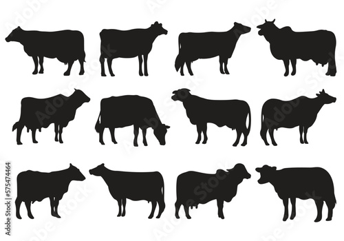 Cow animal silhouettes hand drawn bundle set © Kusnendar