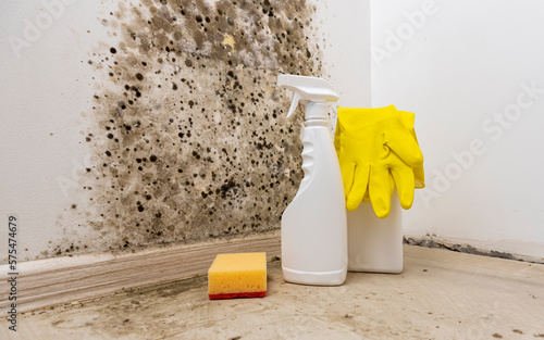 Removal of mold from the wall. Detergents for removal of fungus at home. Preparation for mold removal.