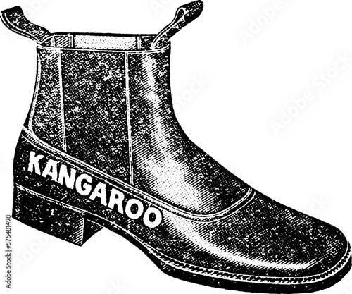 Woodcut Illustration of Oxford Fashion Boot with Laces and Heel