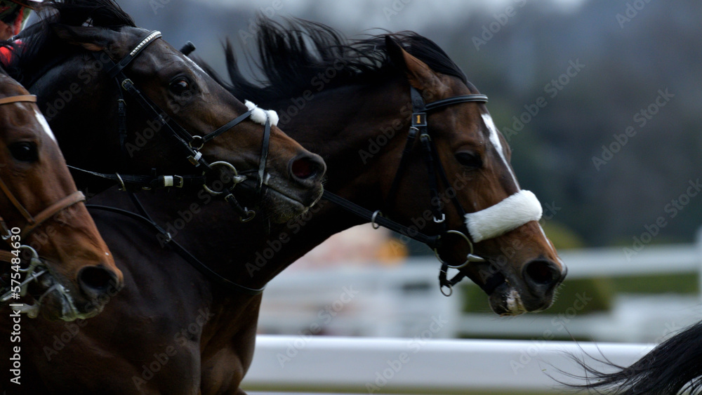 Obraz premium 競争