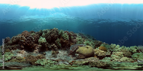 Underwater fish garden reef. Reef coral scene. Coral garden seascape. Philippines. 360 panorama VR