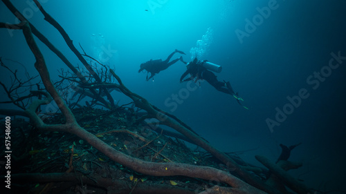 two scuba divers diving above a halocline in Angelita cenote close to a tree © Juanmarcos