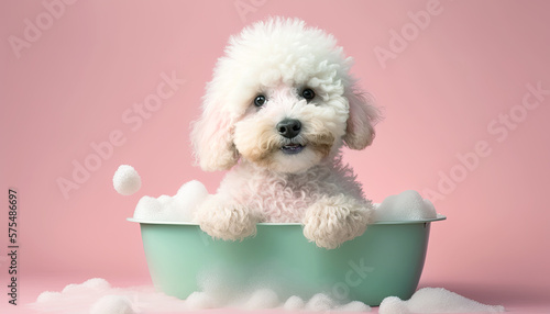 Fotografie, Tablou Cute puppy dog in bathtub , pets cleaning , Generative Ai