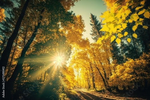 Beautiful Sunny Autumn Scene in the Woods. Generative AI © 2rogan