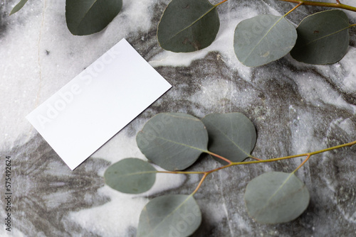 blank, white, business card mock-up on marble table with eucalyptus