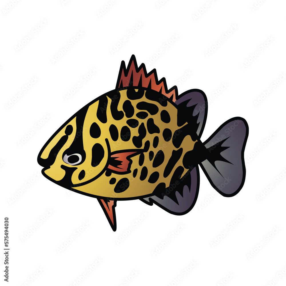 Obraz premium set of coral fish isolated on white background