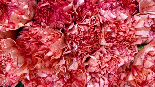 close up of chrysanthemum flower- desktop wallpaper - flower bouquet 