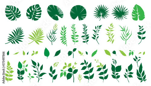 green leaf icon set on a white background.hand drawn leaf set vector illustration decorative elements