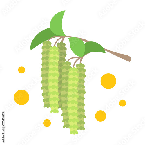 花粉を出すシラカンバ（シラカバ）。フラットなベクターイラスト。
Pollen-releasing white birch. Flat designed vector illustration.