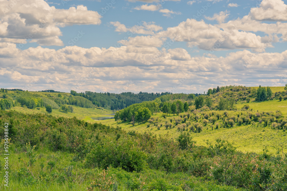 Landscape of the the lush green Alberta foothills.