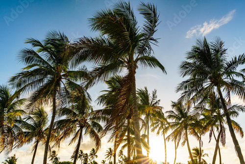 Islamorada Sunrise in the Florida Keys