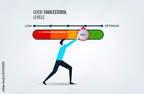 Good cholesterol levels gauge with arrow indicator for healthcare and heart health analysis, a man pushing bar to optimum position, dietary lifestyle to increase HDL in the blood for vascular heart