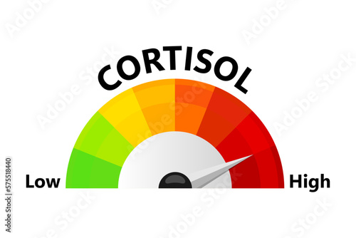Flat cortisol level for medical design. Flat illustration. High blood glucose level photo