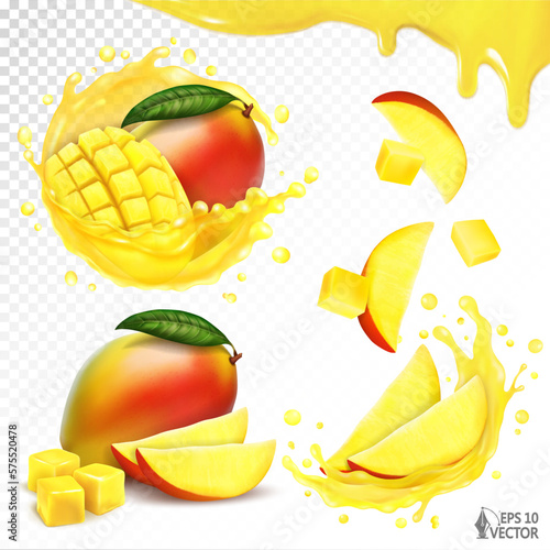 Fototapeta Naklejka Na Ścianę i Meble -  Set of ripe mango fruits. 3d realistic transparent juice splash, isolated vector. Pieces and slices of mango falling into a splash of juice with drops