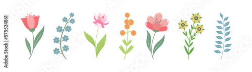 Set of spring flowers for decorative design