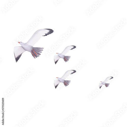 Seagulls watercolor illustration. Hand painted card with norwegian house isolated on white background. © MilenaKo