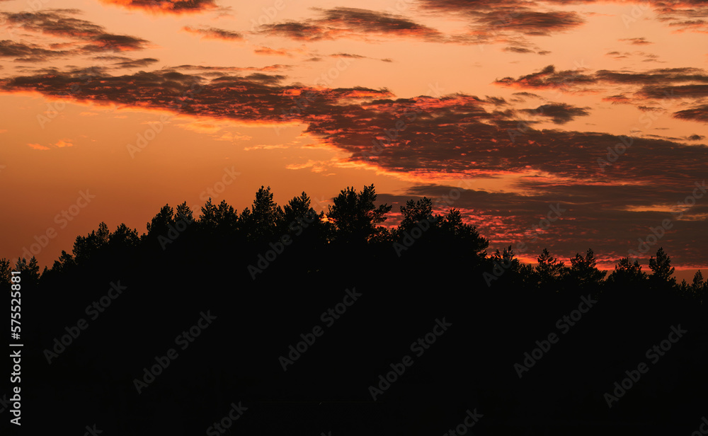 Group of trees in the winter with beautiful sky. Horizontal landscape in rural area Group of trees in the winter with beautiful sky. Horizontal landscape in rural area
