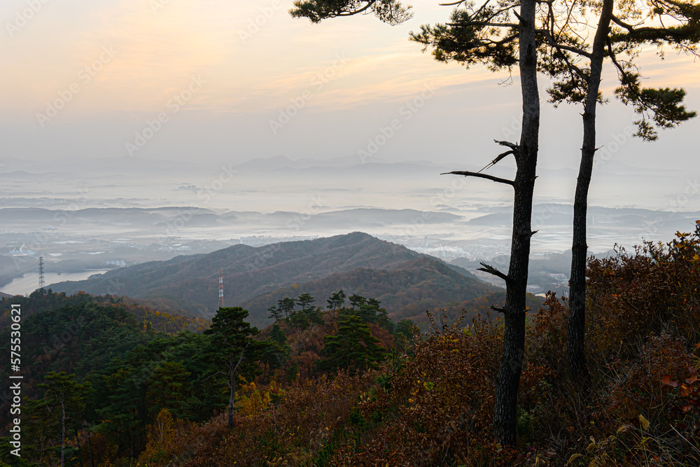 Obraz premium 무제봉