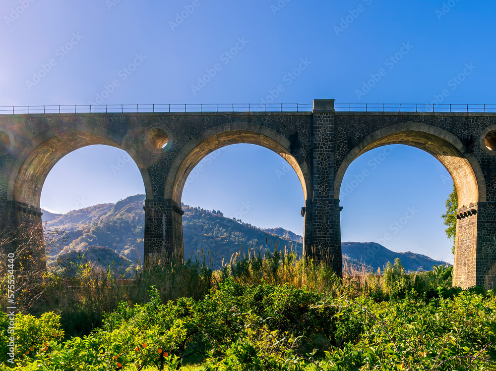 nice old vintage bridge with big arcs and columns among nature with green garneds and blue sky , european old concept landscape