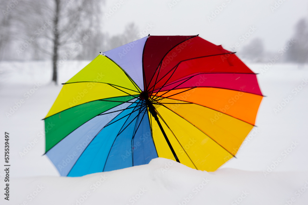 Colorful umbrella in winter on the snow. lgbt umbrella on snow alone