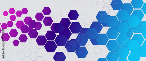Abstract blue and violet hexagon shapes and lines with science and digital, futuristic, technology concept background. Vector illustration