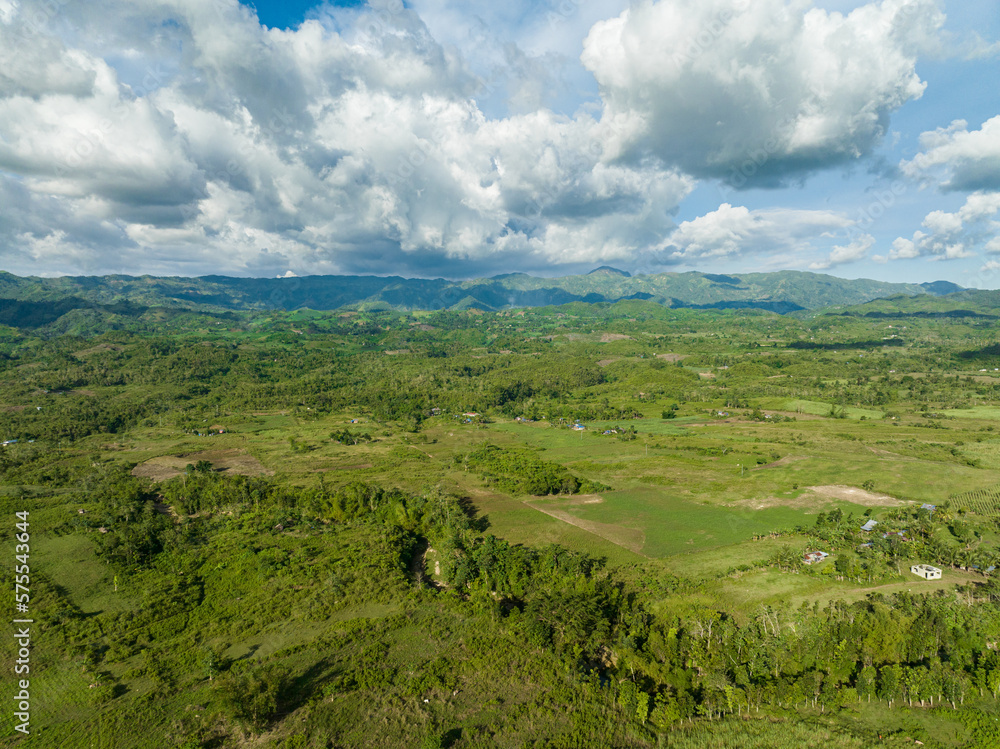 Aerial view of farmland with growing crops and sugar cane in a mountain valley. Negros, Philippines