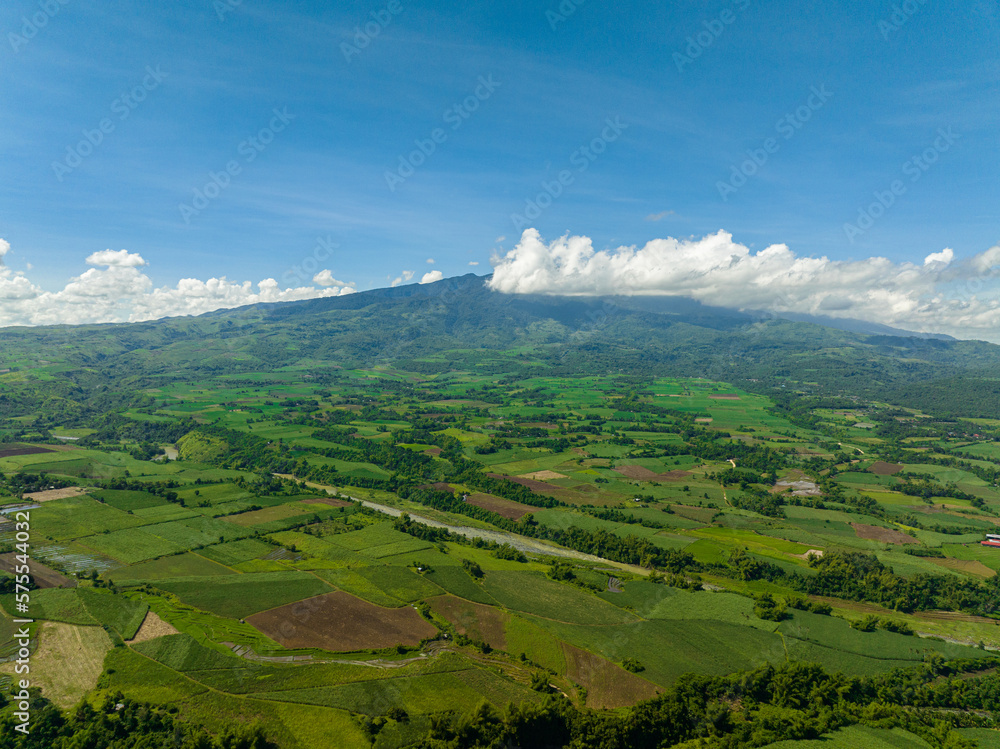 Aerial drone of farmland with sown green fields in countryside. Negros, Philippines