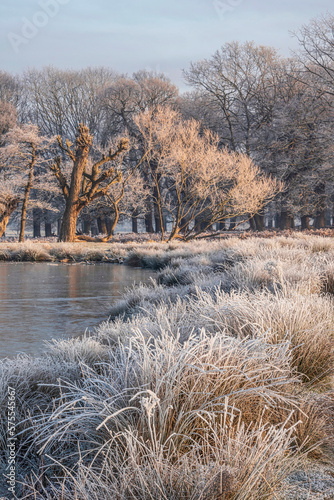 Stunning Winter sunrise lan...