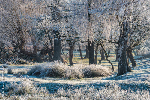 Stunning Winter sunrise lan...