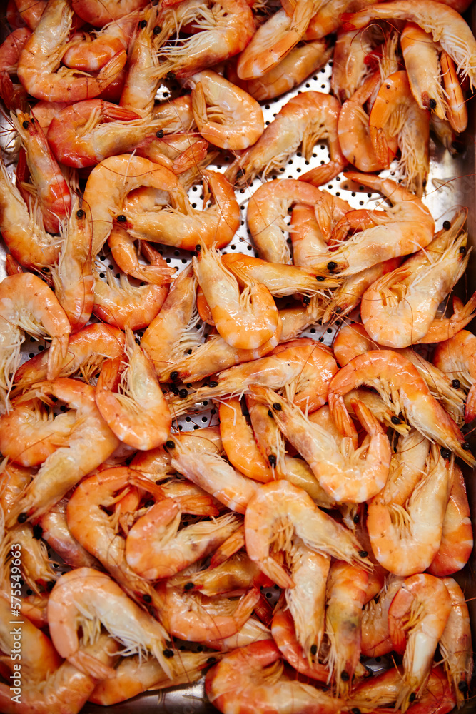 Shrimp Shrimp