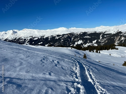 Wonderful winter hiking trails and traces in the fresh alpine snow cover of the Swiss Alps and over the tourist resort of Arosa - Canton of Grisons, Switzerland (Schweiz) © Mario