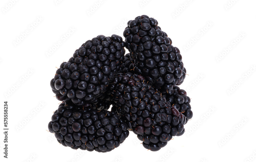blackberry berries isolated