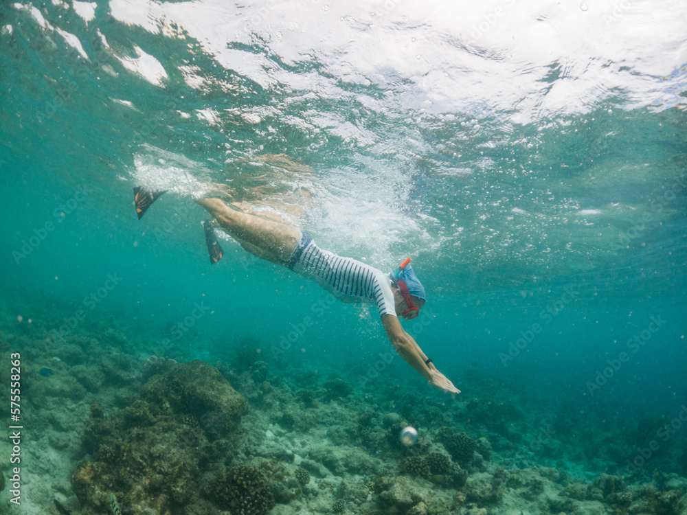 Fototapeta premium woman snorkeling in clear tropical sea