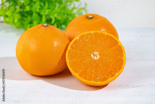 日本福岡県産「せとか」（希少品種）　（「清見」＋「アンコール」に「マーコット」を掛け合わせた品種）