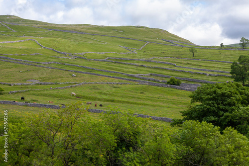 A patchwork of drystone walls on the fells near Malham Cove, Yorkshire Dales National Park, North Yorkshire, UK