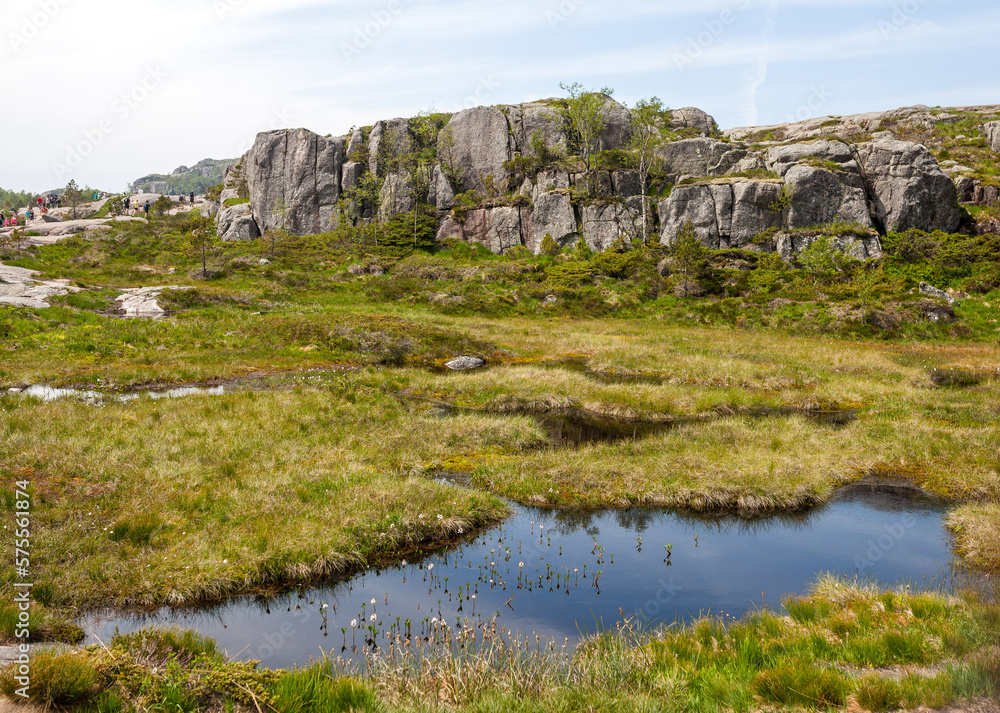 Beautiful natural swamp on the rocks at the hike to Preikestolen, Norway Beautiful natural swamp on the rocks at the hike to Preikestolen, Norway