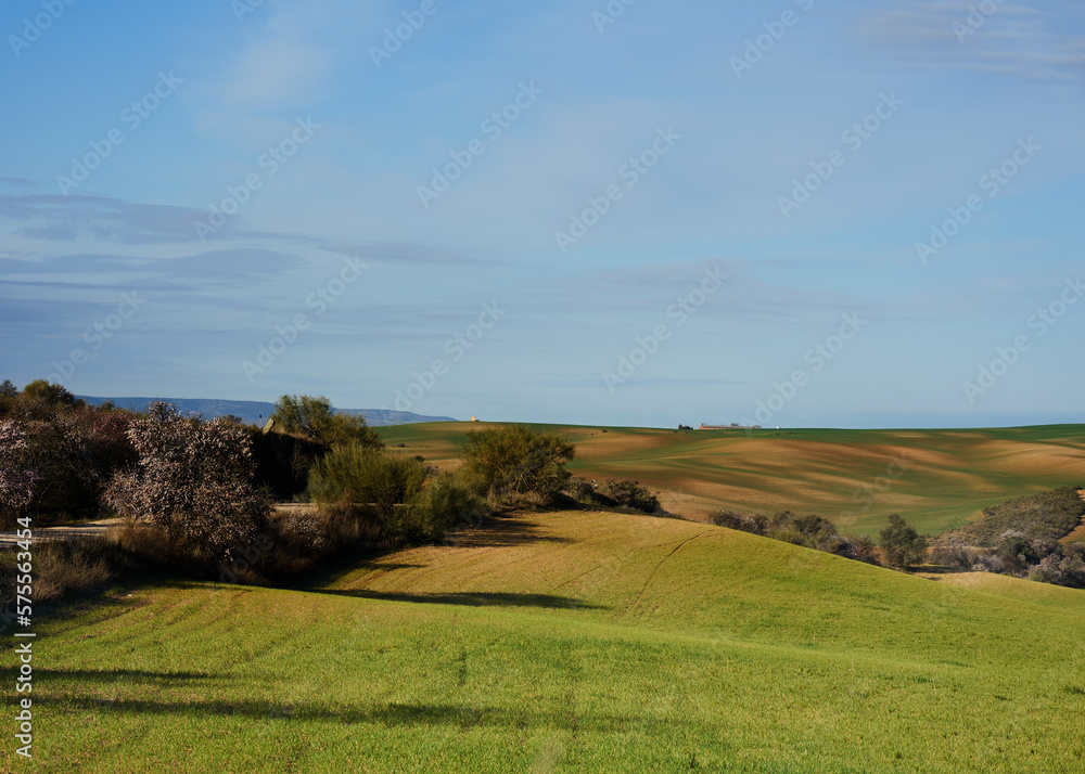 Obraz premium landscape with trees