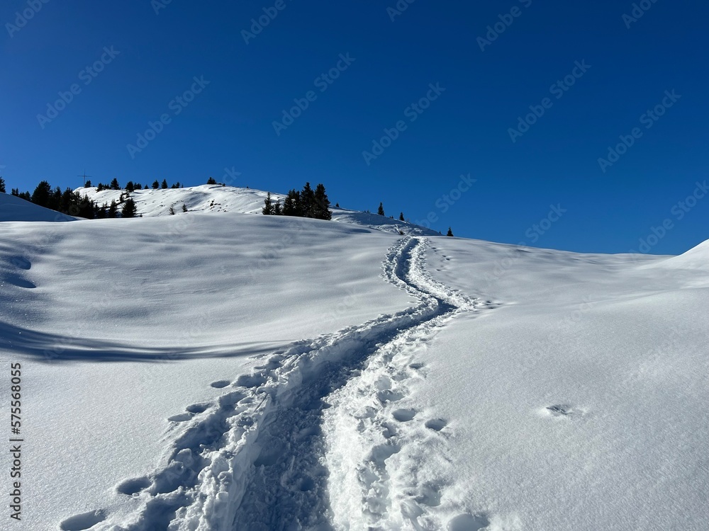 Wonderful winter hiking trails and traces in the fresh alpine snow cover of the Swiss Alps and over the tourist resort of Arosa - Canton of Grisons, Switzerland (Schweiz)