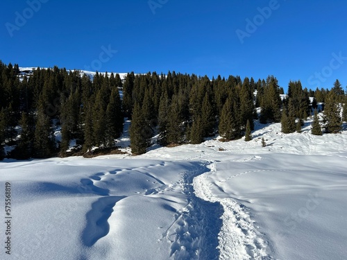 Wonderful winter hiking trails and traces in the fresh alpine snow cover of the Swiss Alps and over the tourist resort of Arosa - Canton of Grisons, Switzerland (Schweiz)