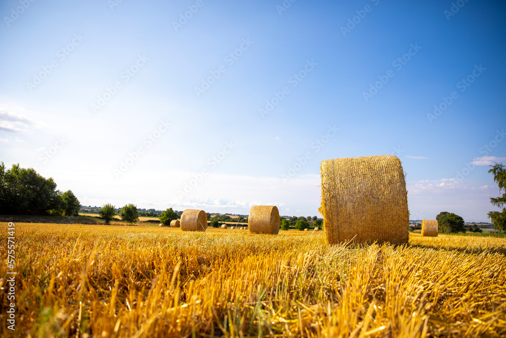 Fototapeta premium Meule de foin et botte de paille dans la campagne après la moisson du blé.