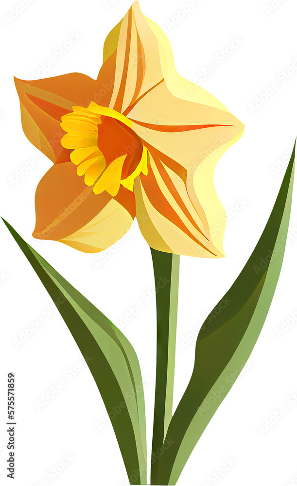 daffodil transparent background - Generative AI