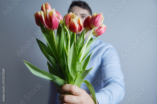 Close-up of bouquet of red tulips in man hands a  blue background. Concept of the celebration. Women's Day on March 8. Valentine's day