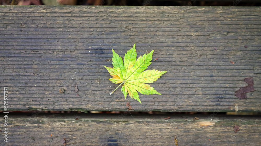 Fototapeta premium 문경