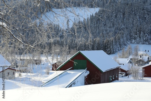 Beautiful view of houses near snowy forest on winter day