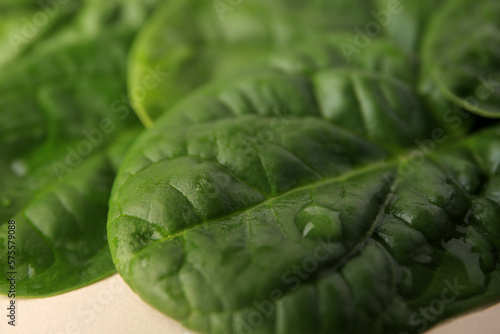 Water drops on green leaves as background, closeup