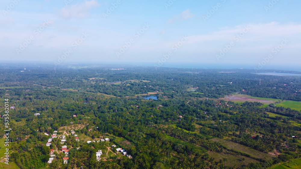 Aerial view of a tropical park and a forest with palm trees. Beautiful tropical wallpapers for tourism and advertising. Asian landscape, drone photo